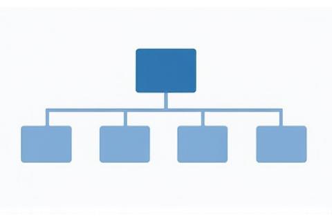Example of a functional organizational chart